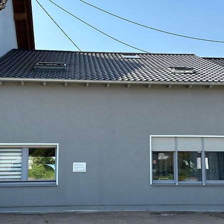 Grosse Ferienwohnung Gaestehaus Neubau Merzig 120M2 Kültér fotó